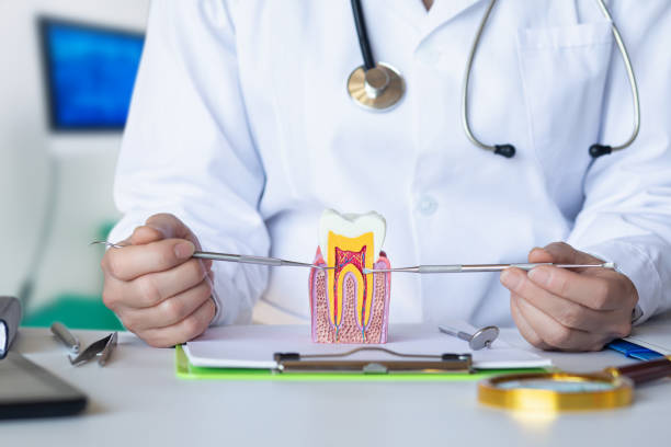 Best Emergency Tooth Extraction in Trenton, IL